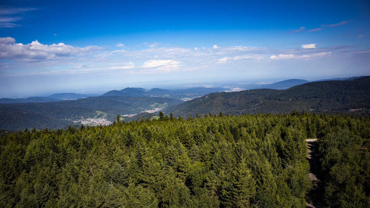 Panorama vom Hohlohturm bis in die Rheinebene