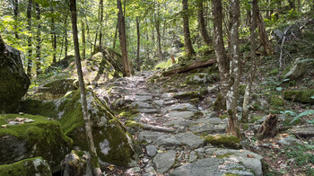 Wanderweg mit Steinplatten