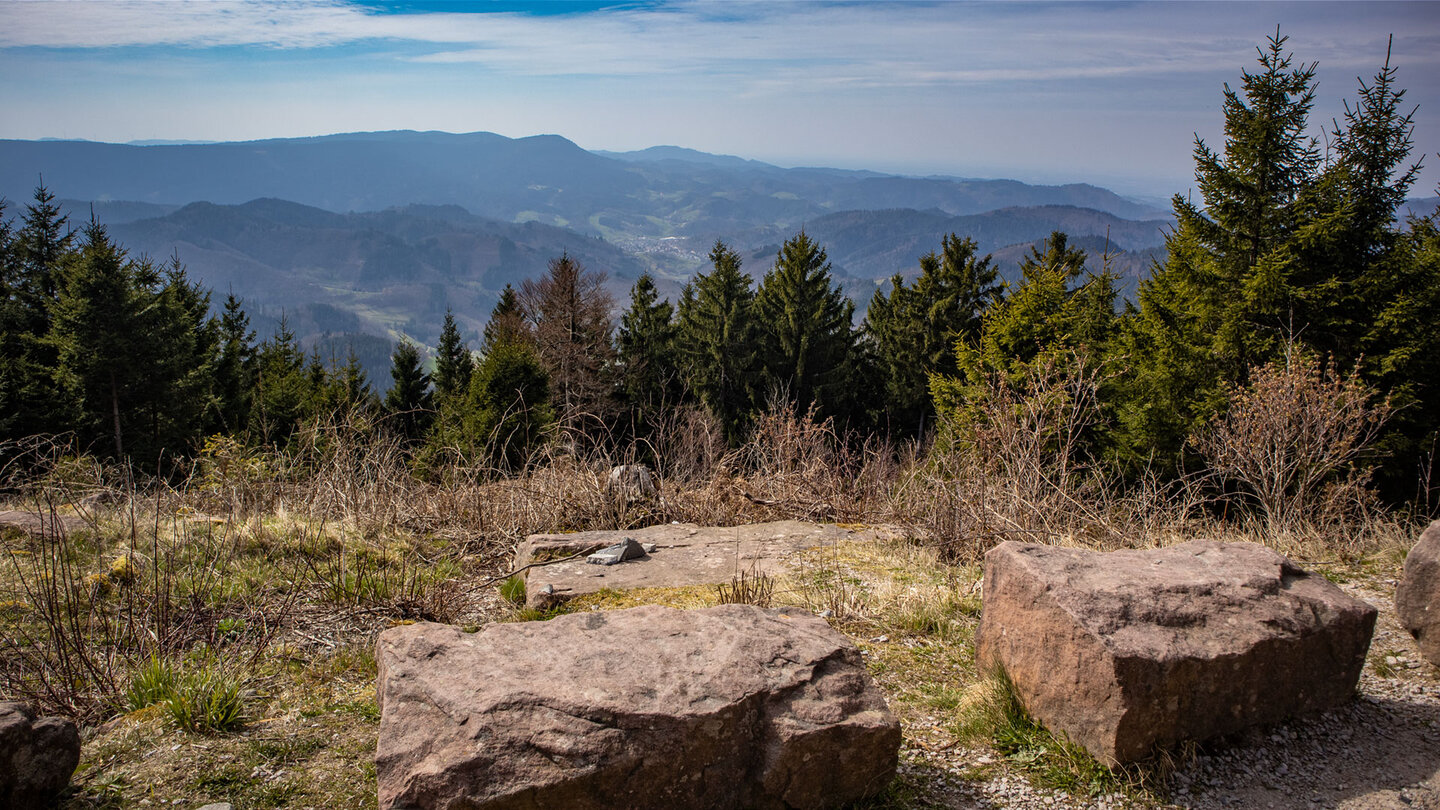 Schwarzwaldpanorama vom Buchkopfturm