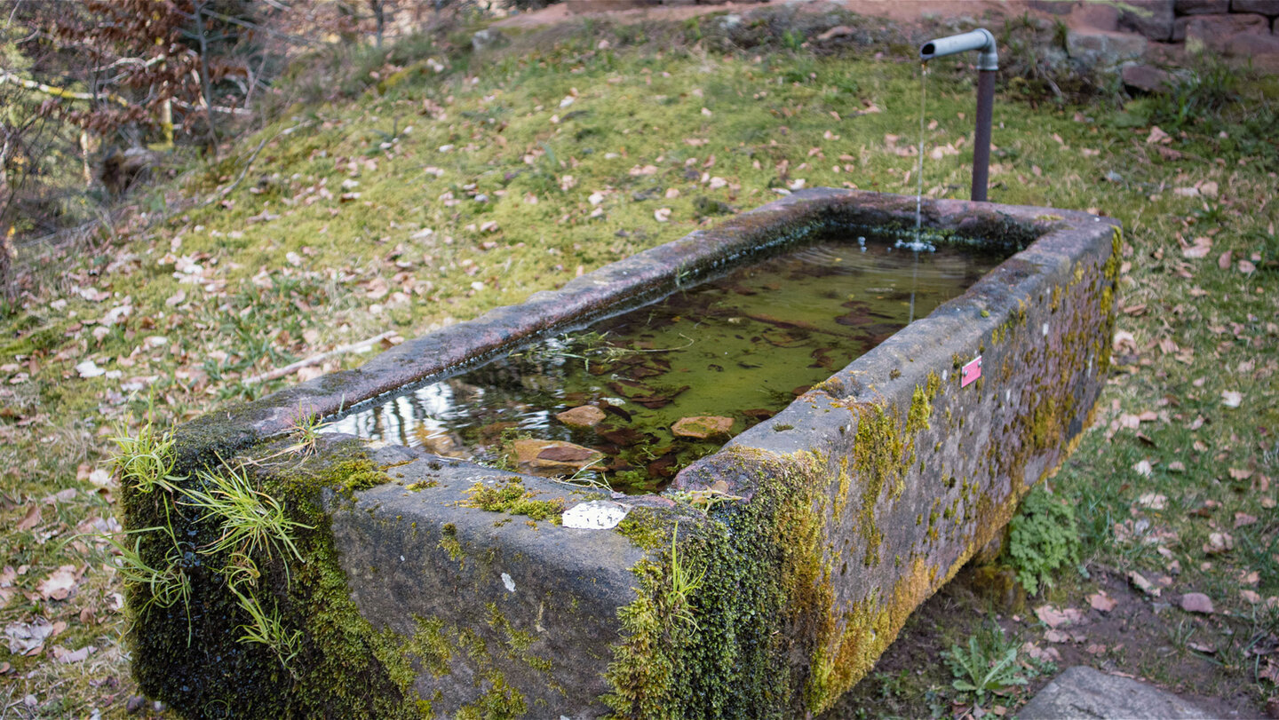 Brunnen an der Fischfelsenhütte