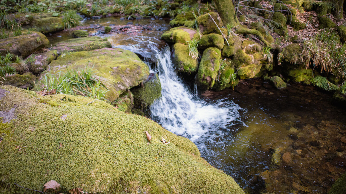 Kaskaden begleiten die Route an der Wilden Rench