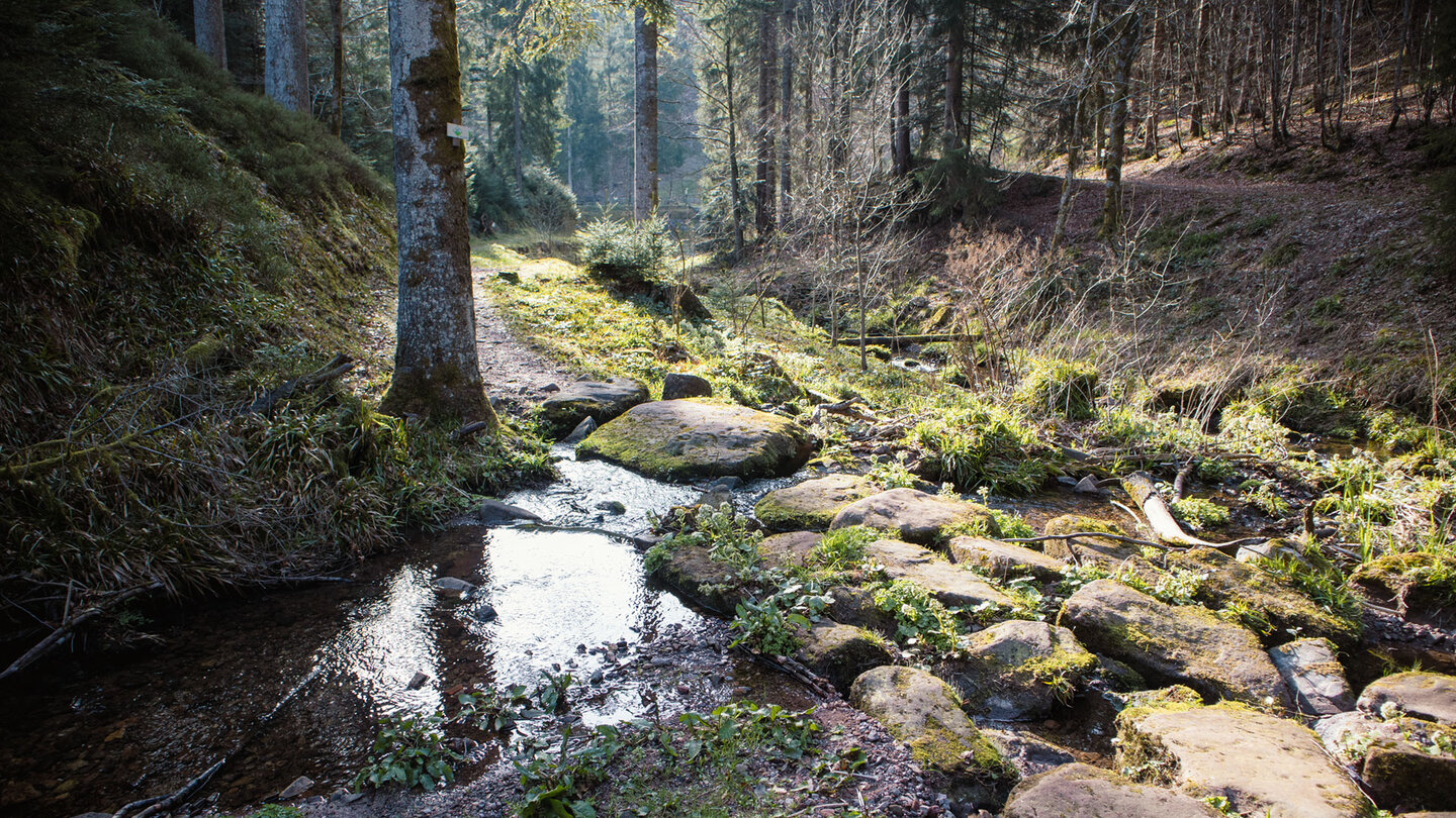 idyllisches Schwarzwaldtal – Wilde Rench