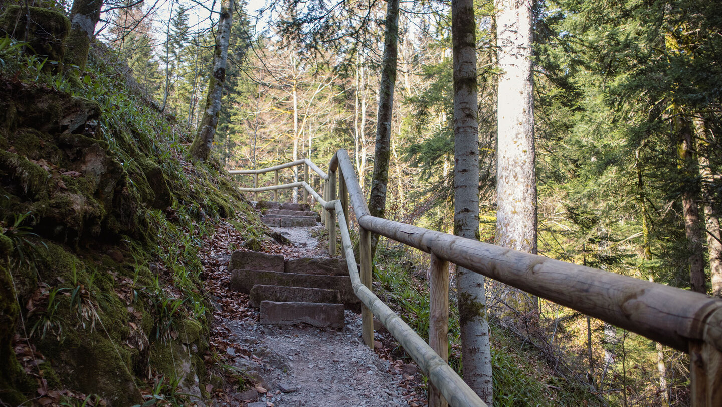 Treppe ins Tal der Wilden Rench