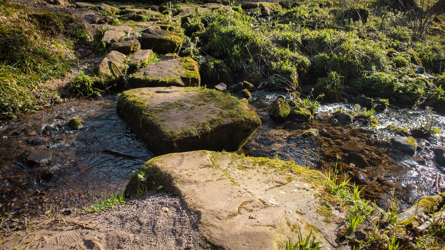 Trittsteine über die Wilde Rench