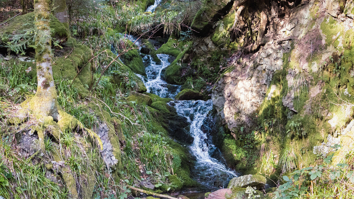 Wasserfall am Troglochbach