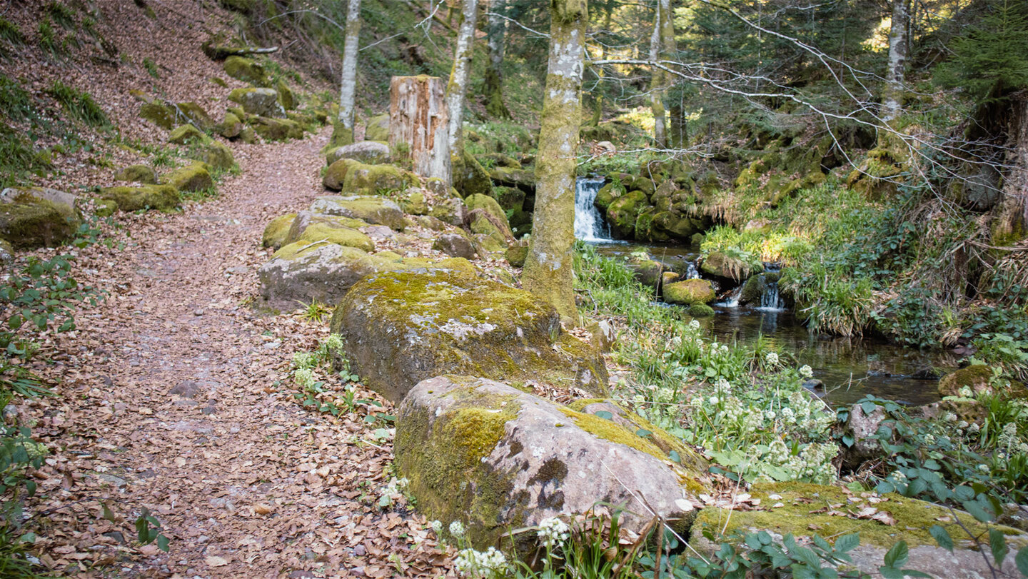 Uferweg entlang der Wilden Rench