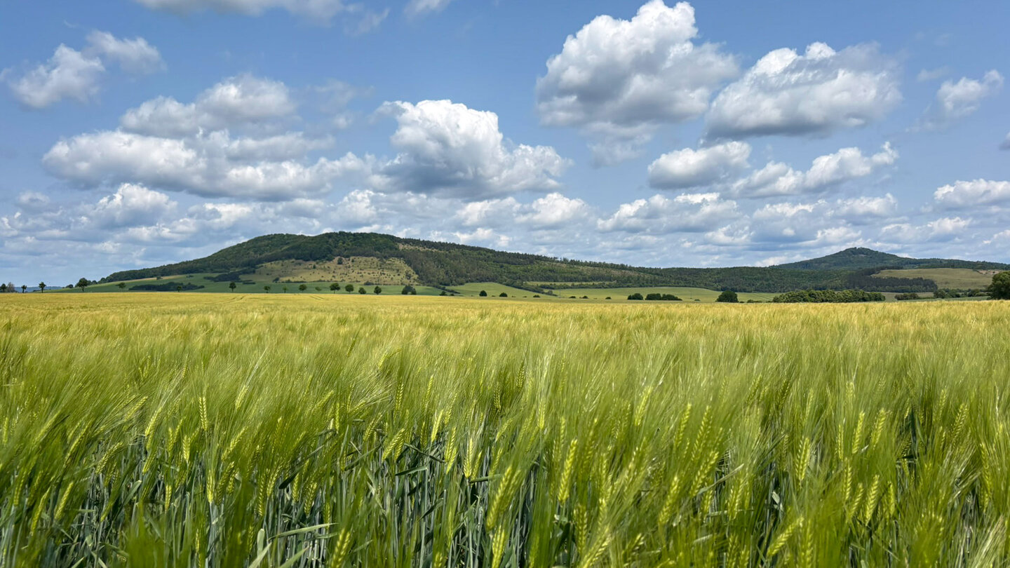 Blick von der Wiesenthaler Schweiz zum Horn