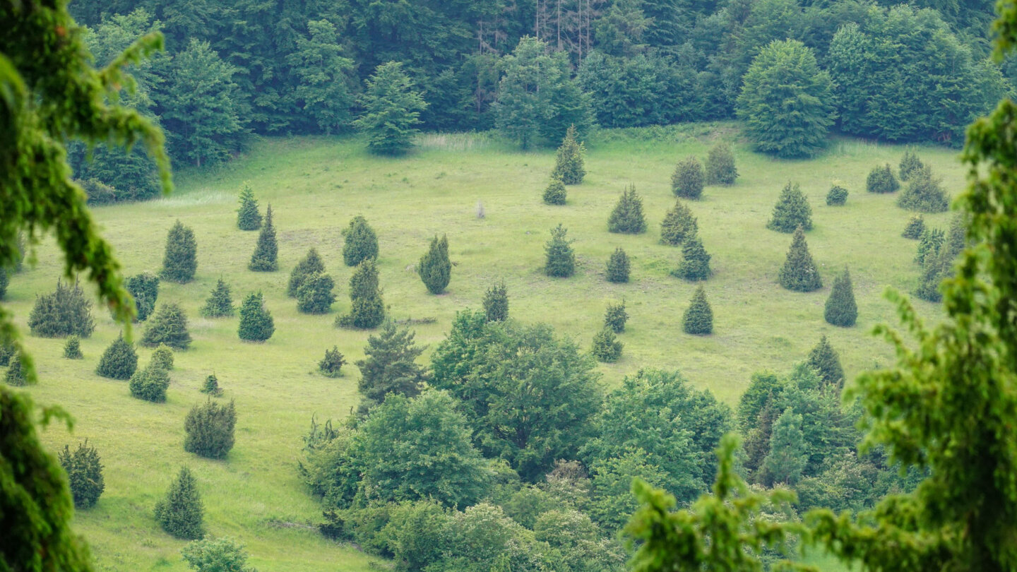 typische Naturlandschaft in der Wiesenthaler Schweiz