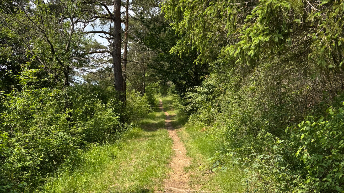 wandern in der Wiesenthaler Schweiz