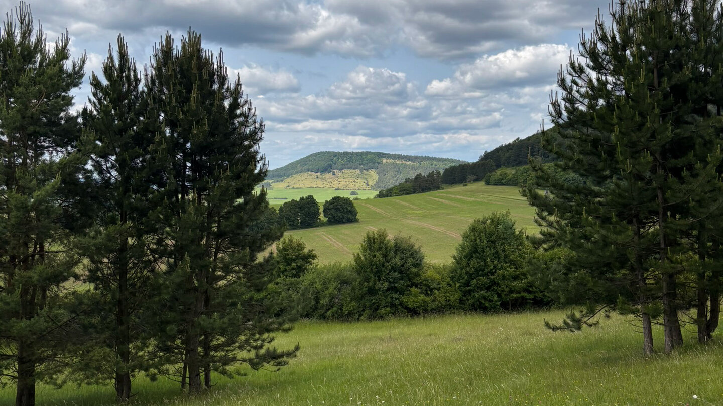 Blick über die Wiesen zum Horn