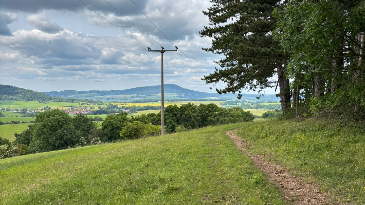Wanderweg am Waldrand