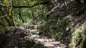 Wanderweg vorbei an kleine Quellen und Felsen