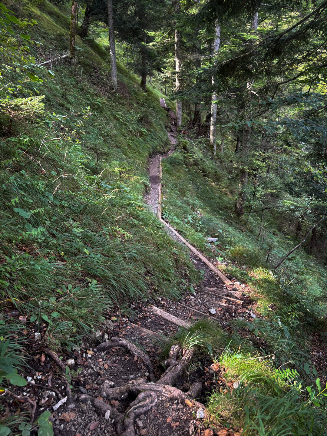 über Trittstufen führt der Bettlersteig weiter Richtung Brentenjoch
