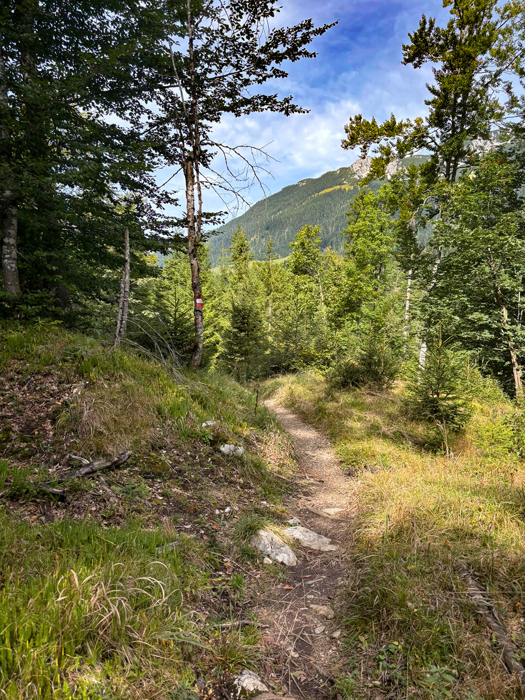 Wegmarkierung am Bettlersteig
