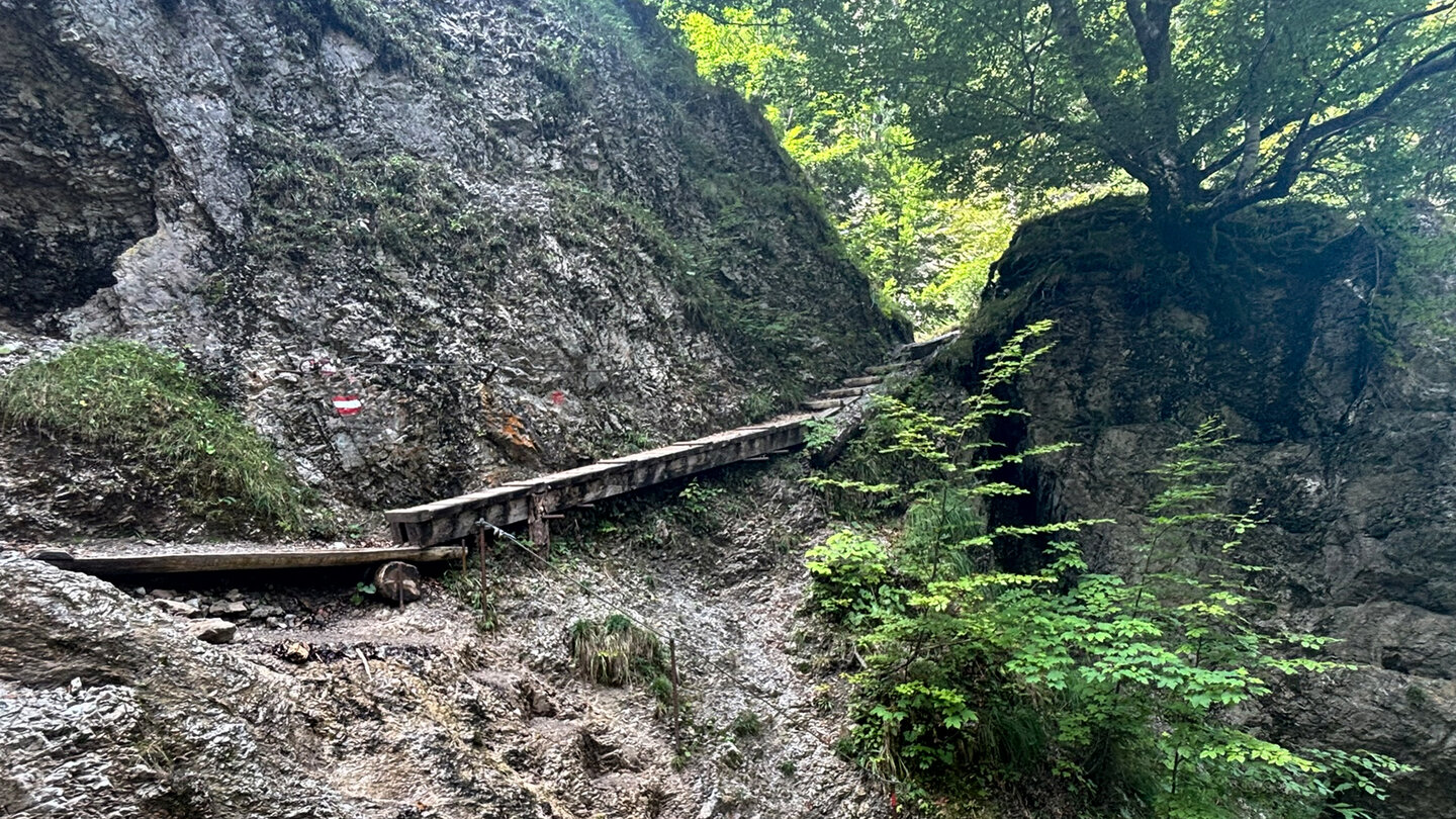 der Bettlersteig führt weiter hoch über befestigte Abschnitte
