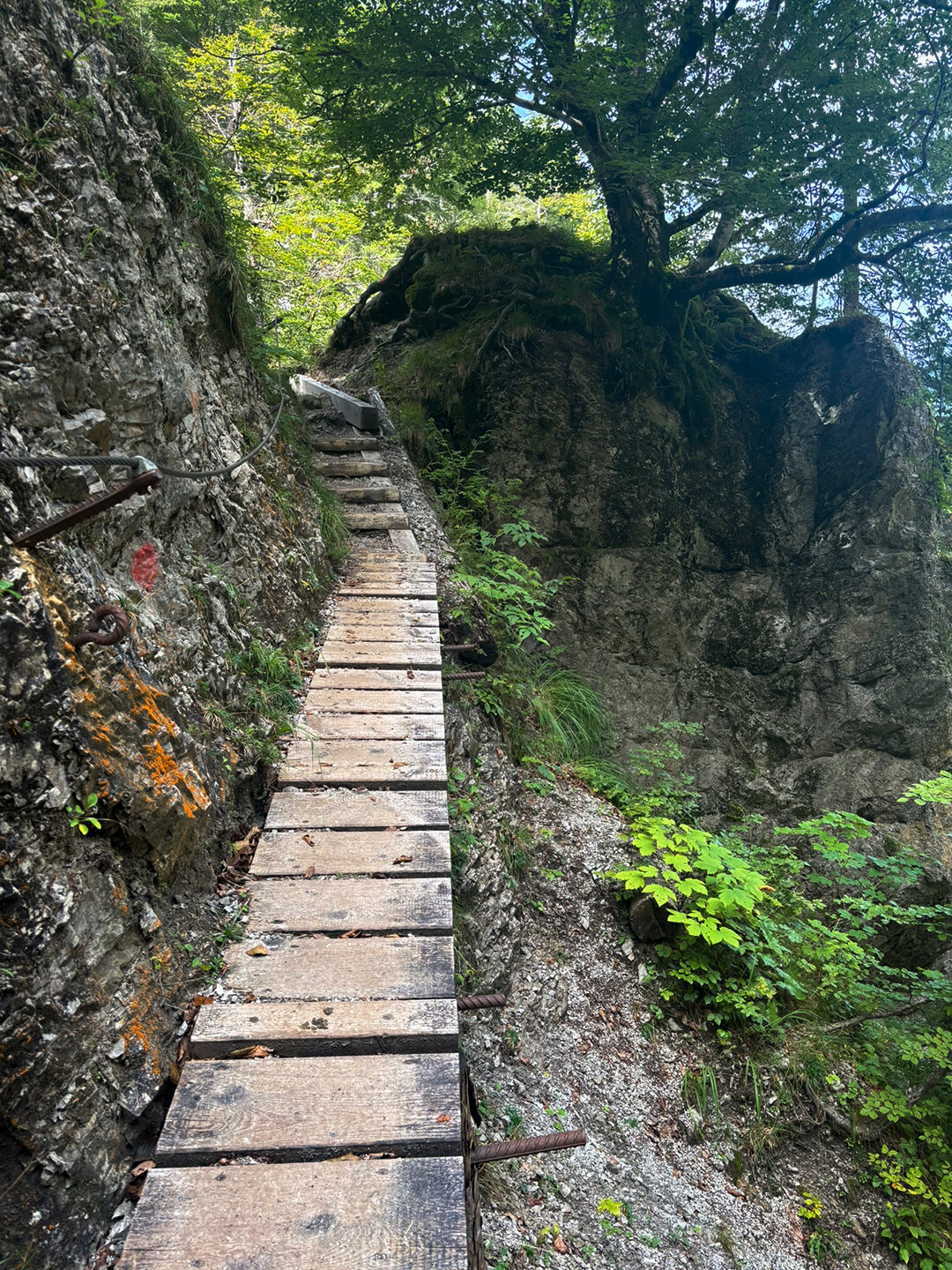 Stahlseilsicherung am Bettlersteig