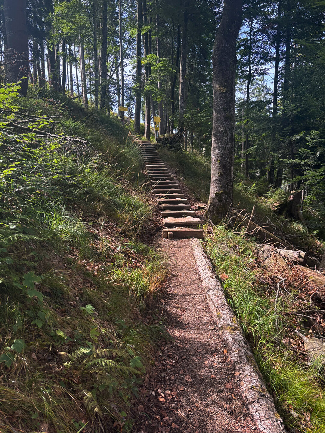Trittstufen auf dem Bettlersteig