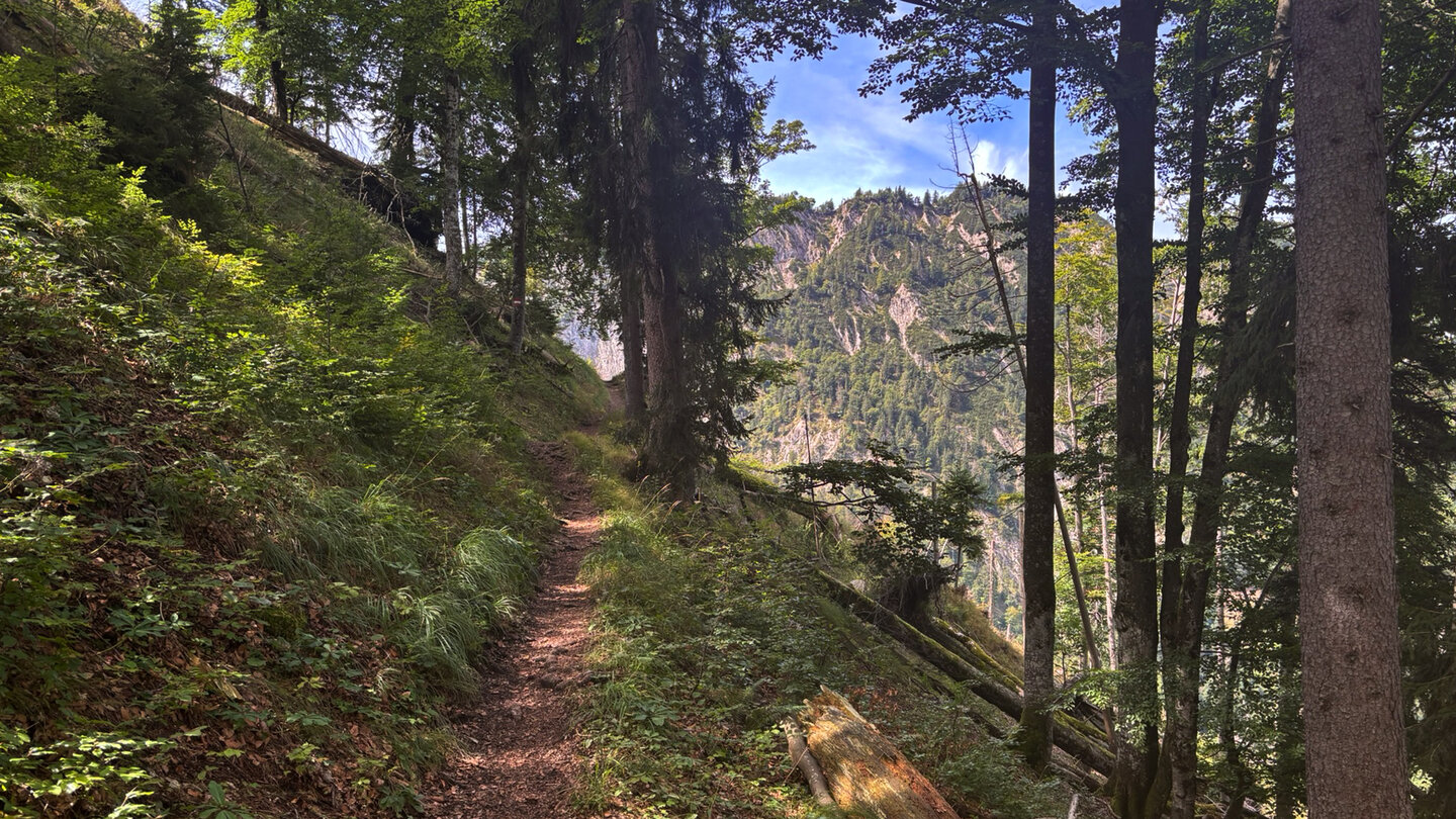 der Bettlersteig eröffnet immer wieder besondere Ausblicke auf die Berge