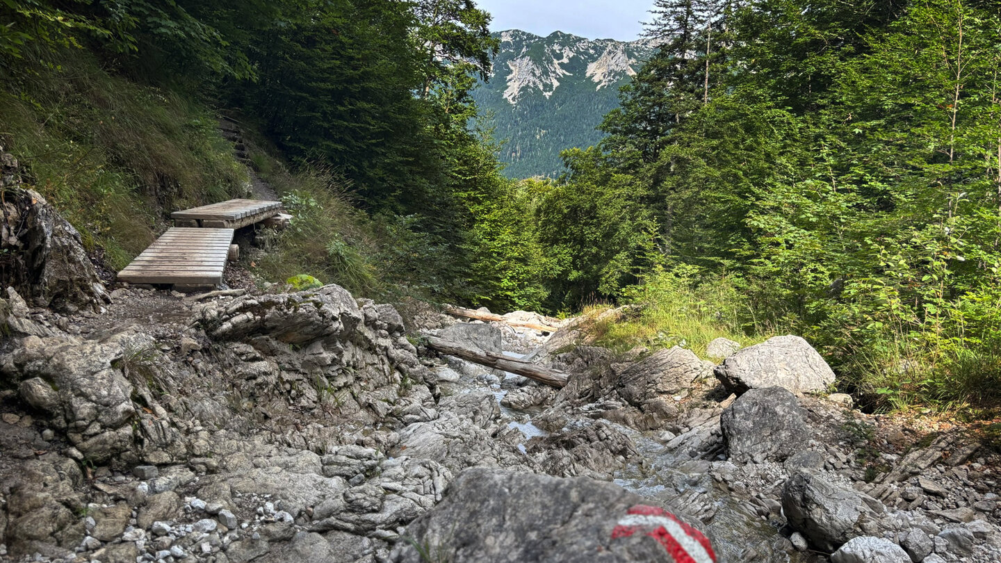 wilder Bettlersteig mit Aussicht