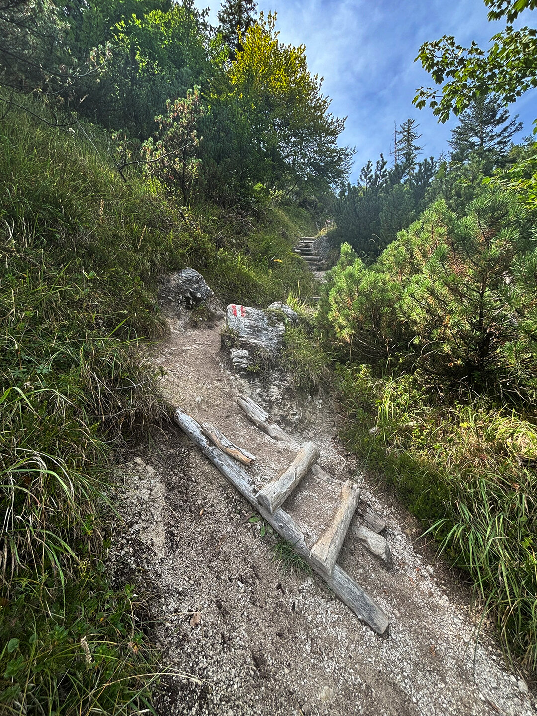 Trittstufen und Wegmarkierung am Bettlersteig