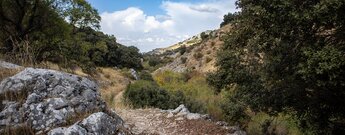 Wanderweg durch die Bailón-Schlucht
