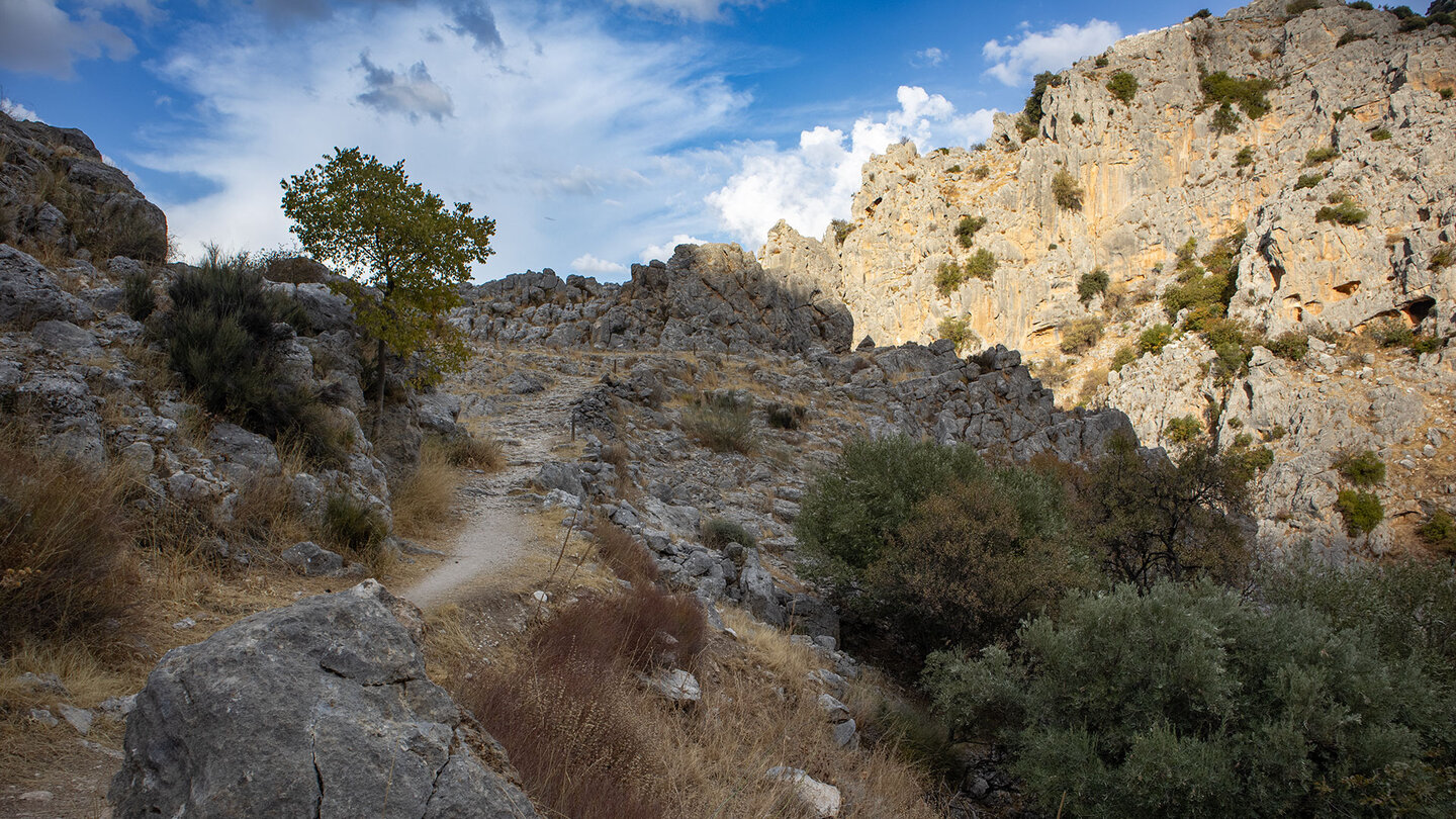 Wanderweg über der Schlucht des Río Bailón