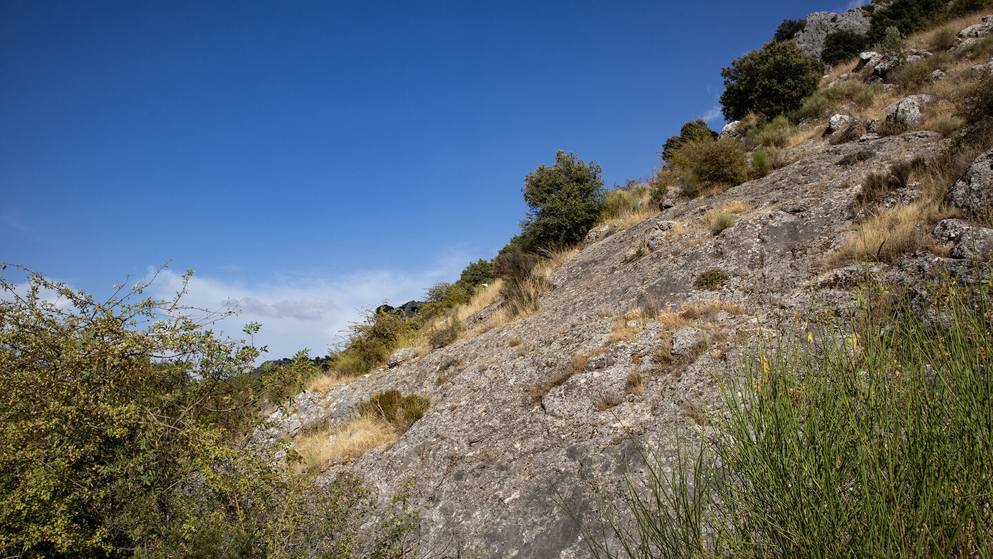 Felsen erzählen von der Lebendigkeit des Flusses