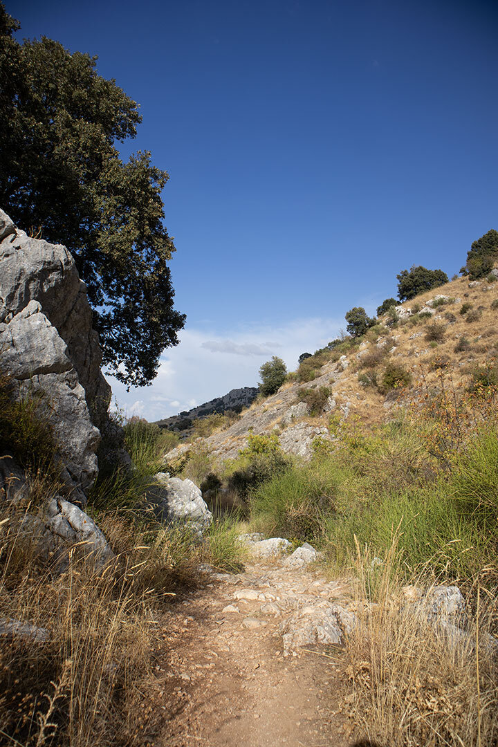 Wanderpfad am Río Bailón