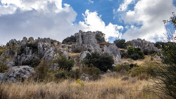 Karstfelsen am Wanderweg