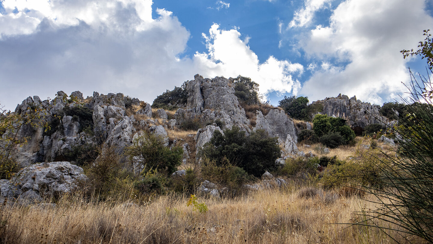 Karstfelsen am Wanderweg