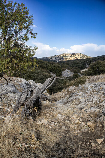 Karstlandschaft Sierras Subbéticas