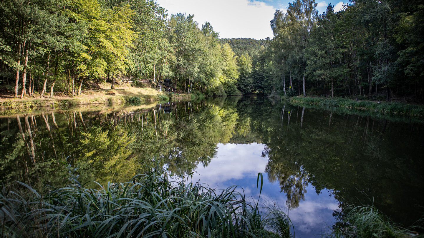 Länglicher Weiher im Bottental mit dicht bewaldeten Ufern auf beiden Seiten, Schilf im Vordergrund und bewölktem Himmel über den Baumwipfeln