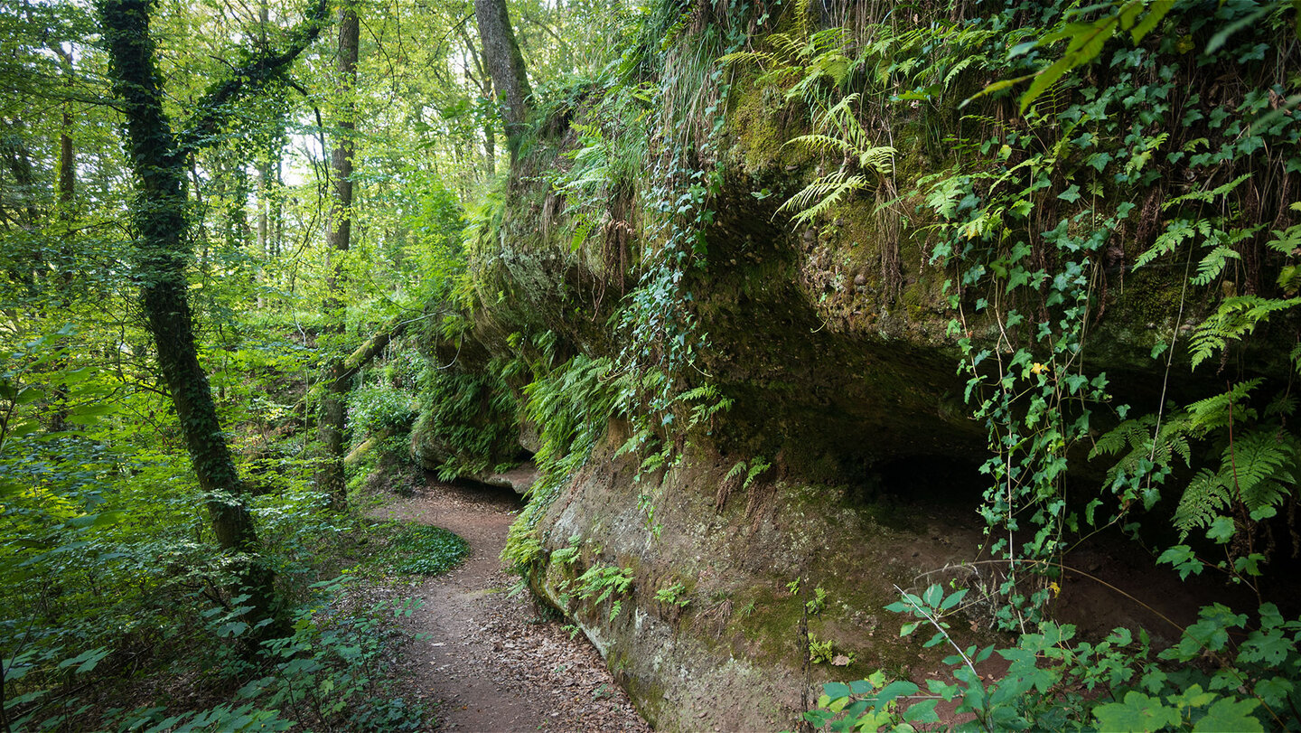 Teufelspfad zum Hühnerfelsen