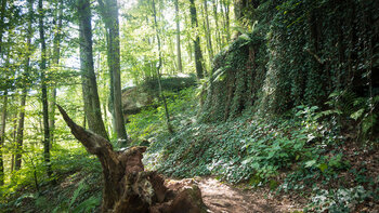 Wandern auf den Pirmasenser Teufelspfad Tour