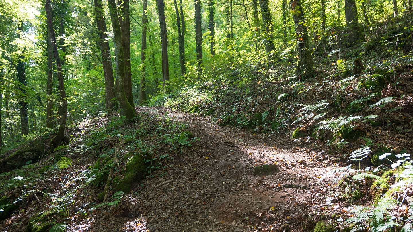 Wanderweg zum Haspelfelsen auf der Teufelspfad Tour