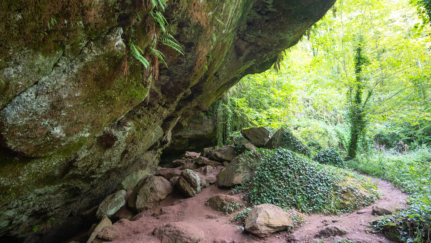 Wanderweg an der Buntsandsteinformation Haspelfels