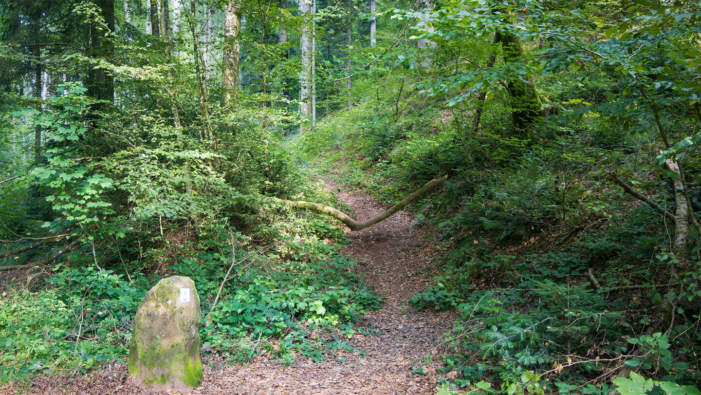 Wanderweg zum Teufelsbrunnen im Gersbachtal