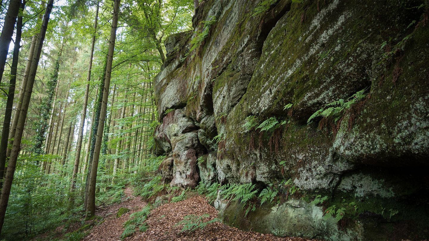 die Teufelspfad Tour verläuft entlang Felswänden