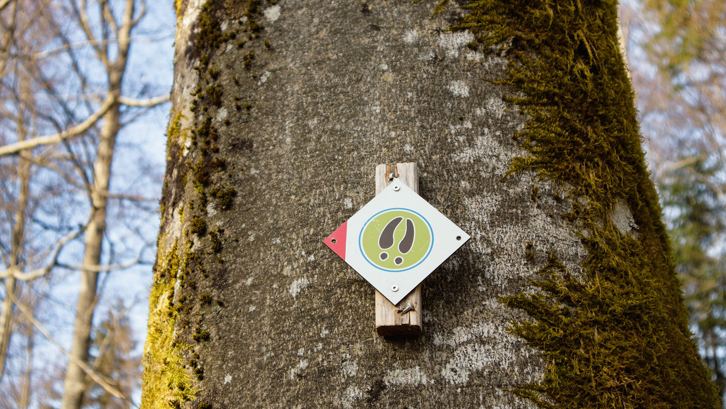 Wegweiser Pirschpfad Bad Peterstal-Griesbach