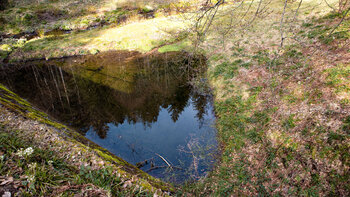 die Weiheranlage im Renchtal