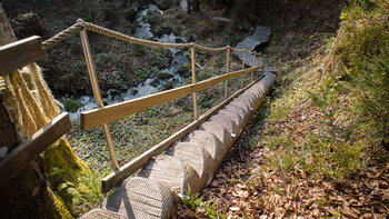 die steile Baumtreppe will erklommen sein