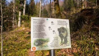 Infotafel zum Wildschwein