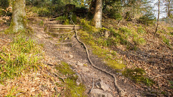 die Seilpassage am Pirschpfad