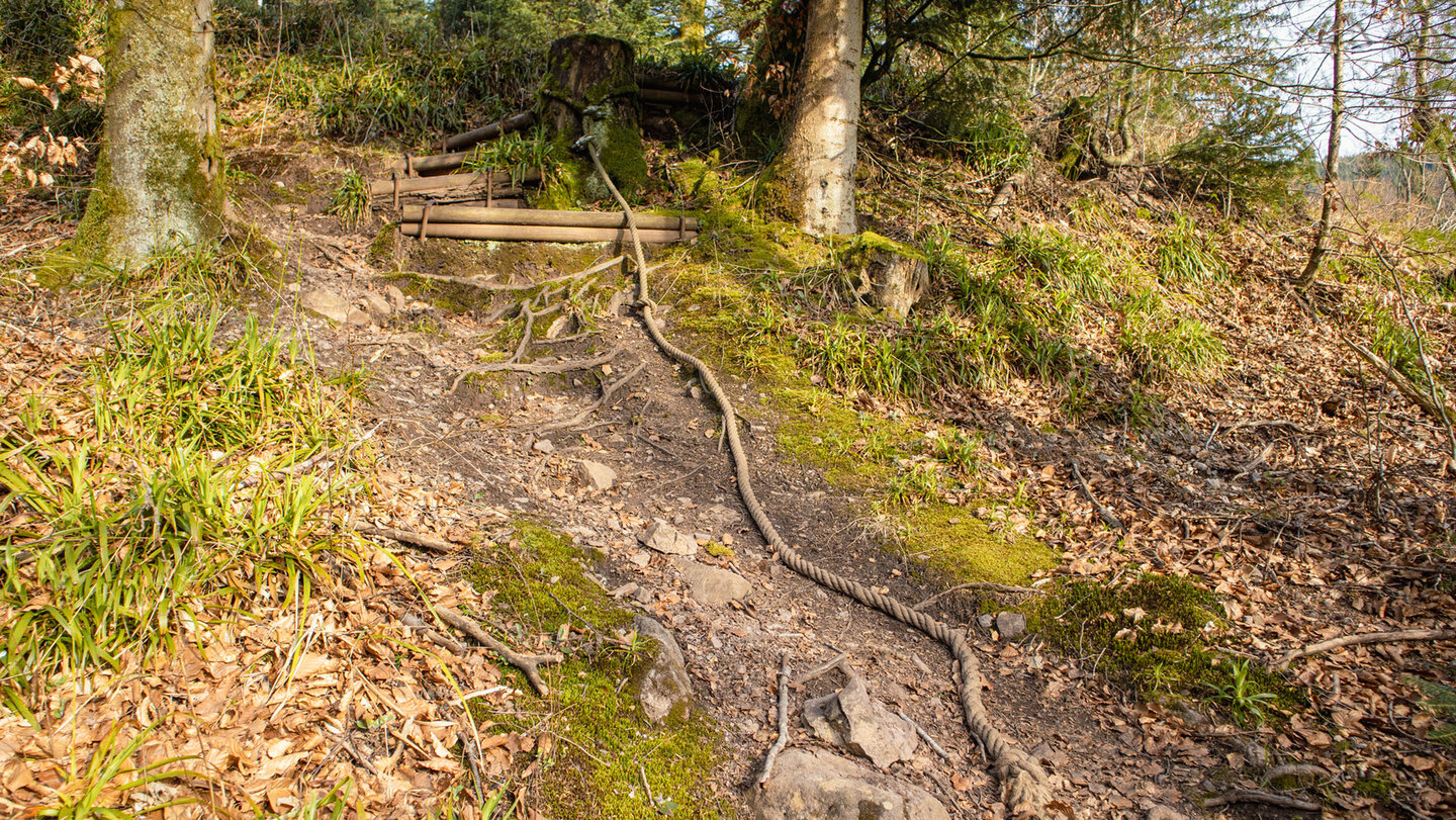 die Seilpassage am Pirschpfad