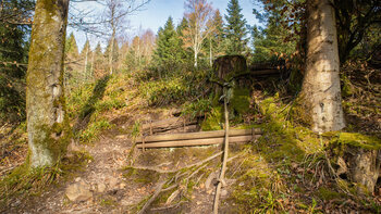 Kletterseil am Pirschpfad