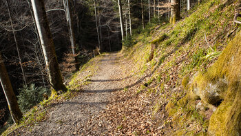 Abstieg ins Tal der Wilden Rench bei Bad-Peterstal-Griesbach