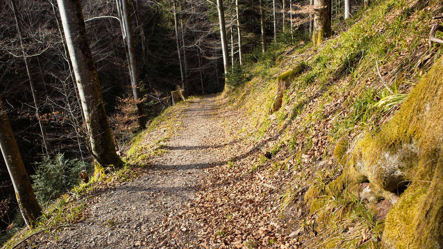 Abstieg ins Tal der Wilden Rench bei Bad-Peterstal-Griesbach