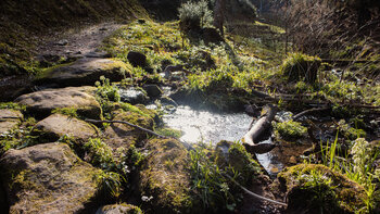 Mündung des Schwarzgrund-Bachs in die Wilde Rench