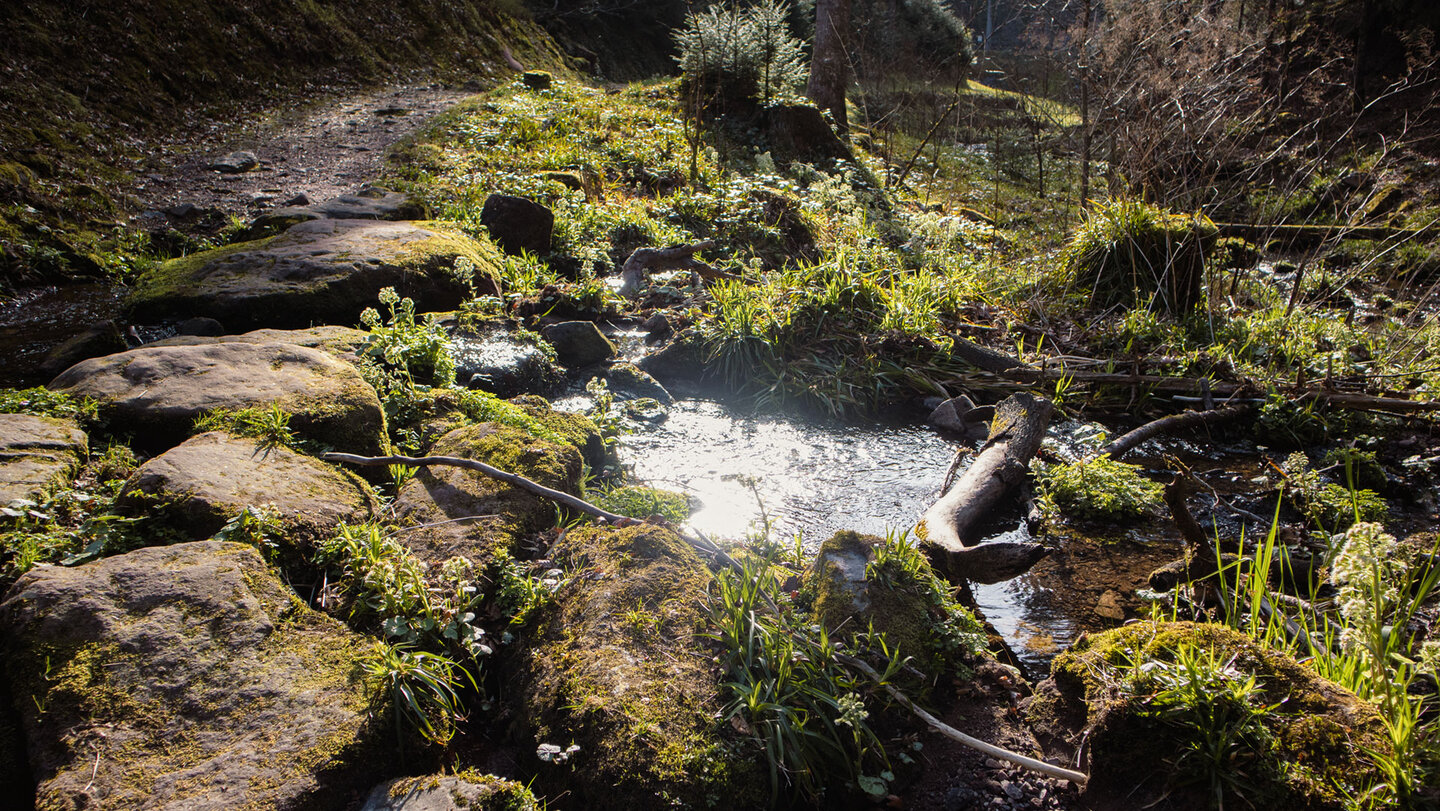 Mündung des Schwarzgrund-Bachs in die Wilde Rench