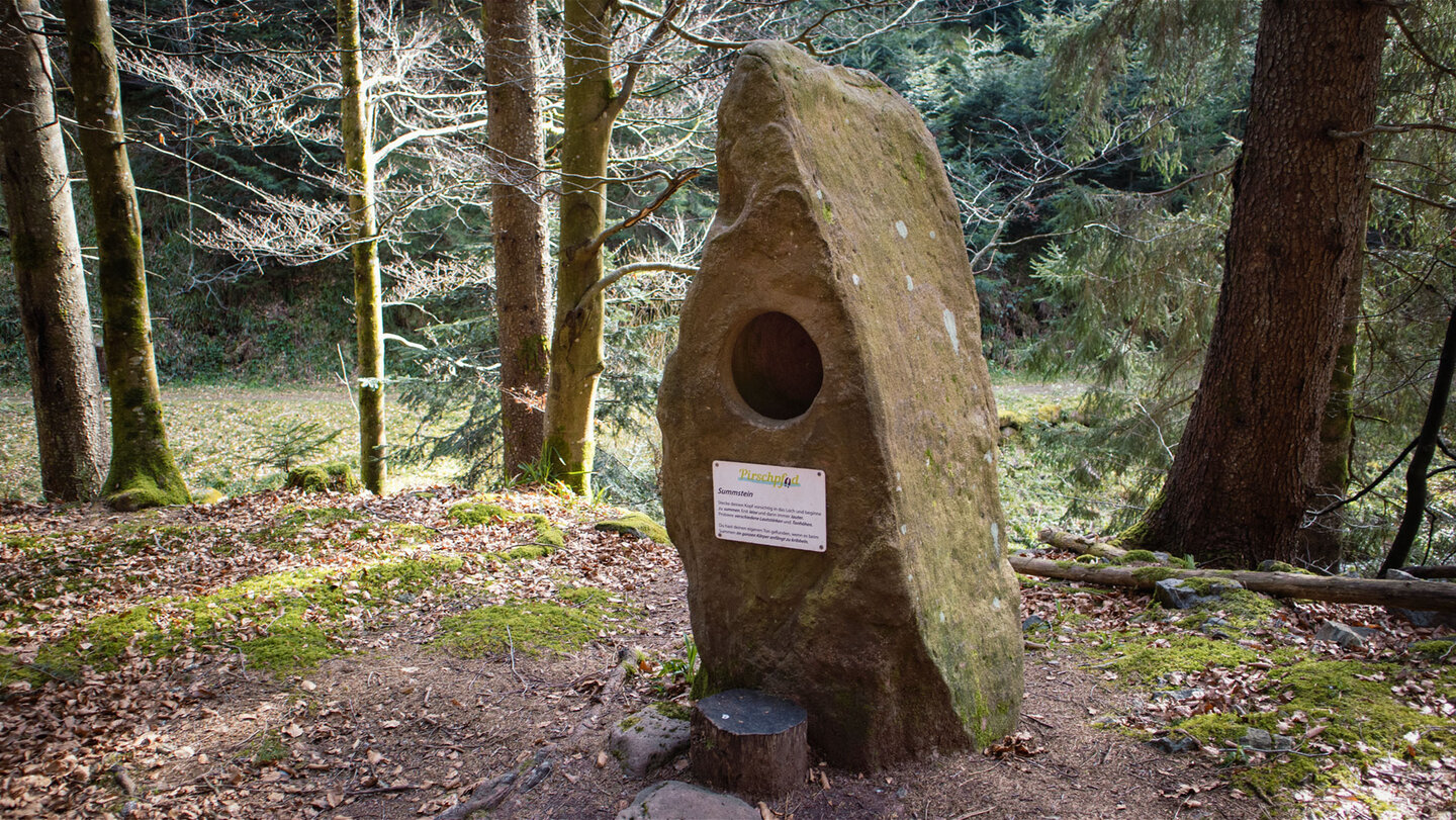der Summstein am Pirschpfad